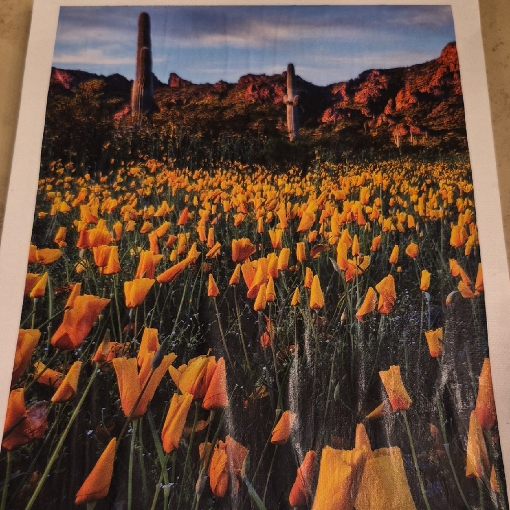 Vibrant Orange Flower Field Canvas Art - Picture 3 of 4